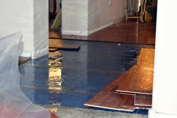 Professional Basement Flood Cleanup technician working in Newton Falls, OH